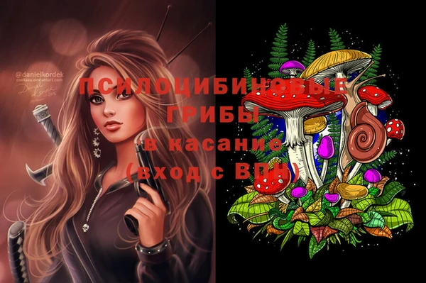 соль курить ск Алзамай