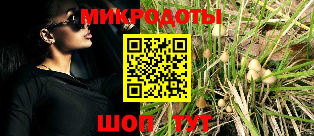 Псилоцибиновые грибы Psilocybe  Вход с VPN  Дмитров 